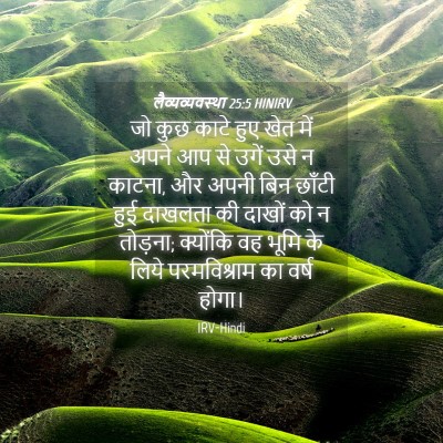 Picture 04 - लैव्यव्यवस्था 25:5 HINIRV - जो कुछ काटे हुए खेत - Bible Verse Picture