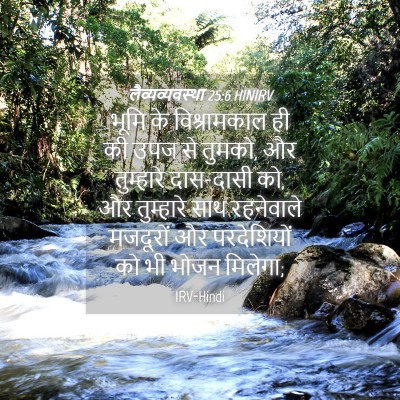 Picture 04 - लैव्यव्यवस्था 25:6 HINIRV - भूमि के - Bible Verse Picture