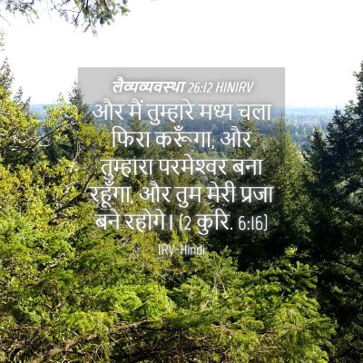Picture 04 - लैव्यव्यवस्था 26:12 HINIRV - और मैं तुम्हारे - Bible Verse Picture