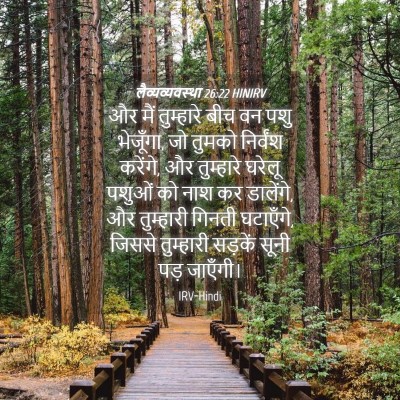 Picture 04 - लैव्यव्यवस्था 26:22 HINIRV - और मैं तुम्हारे - Bible Verse Picture