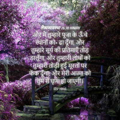Picture 04 - लैव्यव्यवस्था 26:30 HINIRV - और मैं तुम्हारे - Bible Verse Picture
