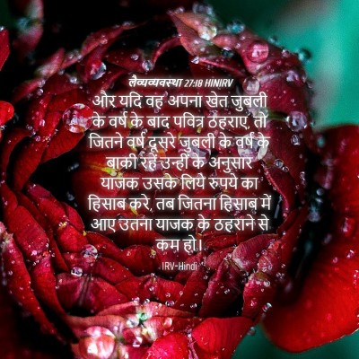 Picture 04 - लैव्यव्यवस्था 27:18 HINIRV - और यदि वह अपना खेत - Bible Verse Picture