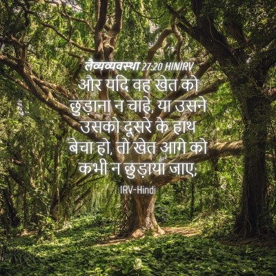 Picture 04 - लैव्यव्यवस्था 27:20 HINIRV - और यदि वह खेत को - Bible Verse Picture