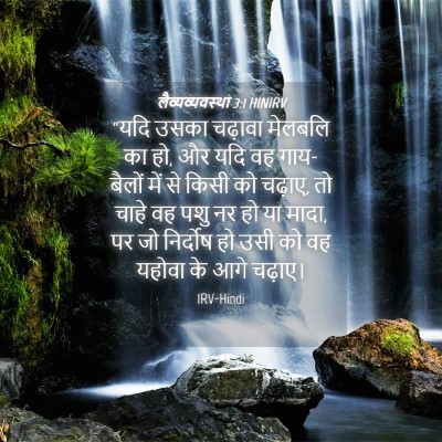 Picture 04 - लैव्यव्यवस्था 3:1 HINIRV - “यदि उसका चढ़ावा - Bible Verse Picture