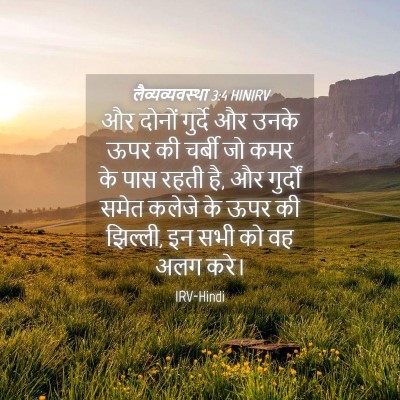 Picture 04 - लैव्यव्यवस्था 3:4 HINIRV - और दोनों गुर्दे और - Bible Verse Picture