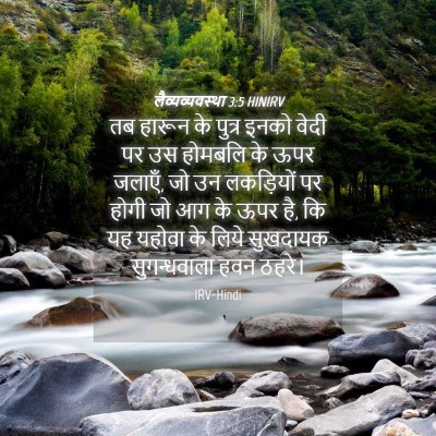 Picture 04 - लैव्यव्यवस्था 3:5 HINIRV - तब हारून के पुत्र - Bible Verse Picture