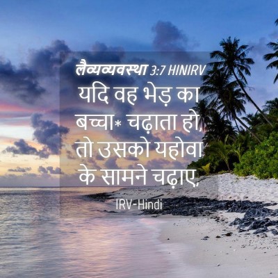 Picture 04 - लैव्यव्यवस्था 3:7 HINIRV - यदि वह भेड़ का - Bible Verse Picture