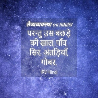 Picture 04 - लैव्यव्यवस्था 4:11 HINIRV - परन्तु उस बछड़े की - Bible Verse Picture