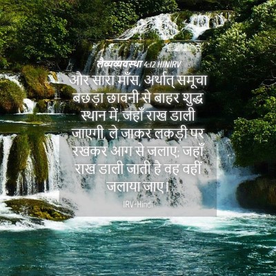 Picture 04 - लैव्यव्यवस्था 4:12 HINIRV - और सारा माँस, - Bible Verse Picture
