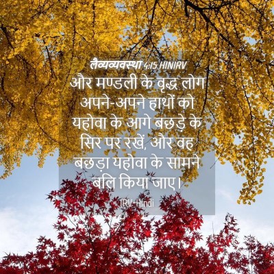 Picture 04 - लैव्यव्यवस्था 4:15 HINIRV - और मण्डली के वृद्ध - Bible Verse Picture