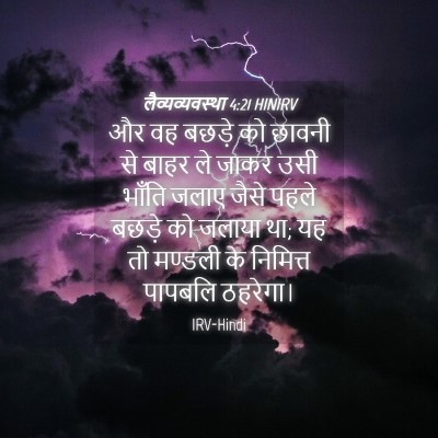 Picture 04 - लैव्यव्यवस्था 4:21 HINIRV - और वह बछड़े को - Bible Verse Picture