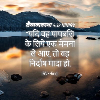 Picture 04 - लैव्यव्यवस्था 4:32 HINIRV - “यदि वह पापबलि के - Bible Verse Picture