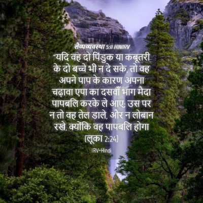 Picture 04 - लैव्यव्यवस्था 5:11 HINIRV - “यदि वह दो पिंडुक - Bible Verse Picture