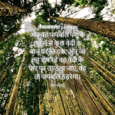 Picture 04 - लैव्यव्यवस्था 5:9 HINIRV - और वह पापबलि पशु के - Bible Verse Picture