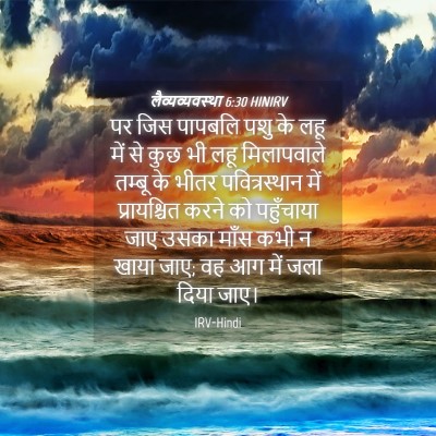 Picture 04 - लैव्यव्यवस्था 6:30 HINIRV - पर जिस पापबलि पशु - Bible Verse Picture