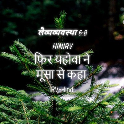 Picture 04 - लैव्यव्यवस्था 6:8 HINIRV - फिर यहोवा ने मूसा - Bible Verse Picture