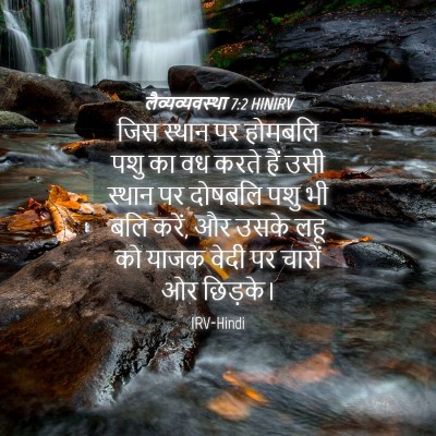 Picture 04 - लैव्यव्यवस्था 7:2 HINIRV - जिस स्थान पर - Bible Verse Picture