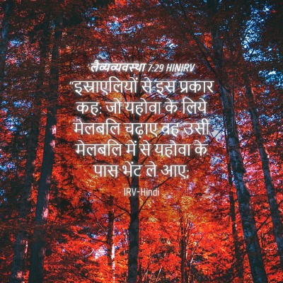 Picture 04 - लैव्यव्यवस्था 7:29 HINIRV - “इस्राएलियों से - Bible Verse Picture