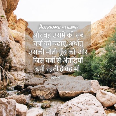 Picture 04 - लैव्यव्यवस्था 7:3 HINIRV - और वह उसमें की सब - Bible Verse Picture