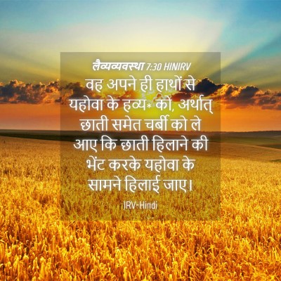 Picture 04 - लैव्यव्यवस्था 7:30 HINIRV - वह अपने ही हाथों से - Bible Verse Picture