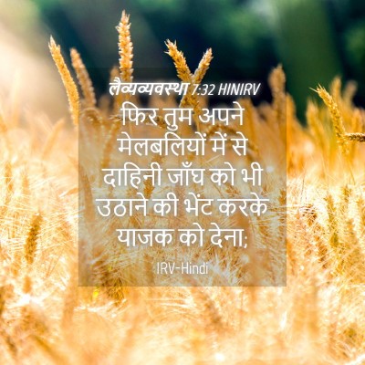 Picture 04 - लैव्यव्यवस्था 7:32 HINIRV - फिर तुम अपने - Bible Verse Picture