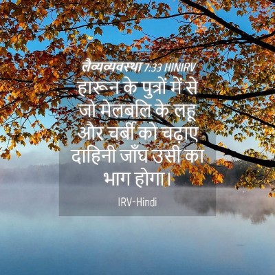 Picture 04 - लैव्यव्यवस्था 7:33 HINIRV - हारून के पुत्रों - Bible Verse Picture