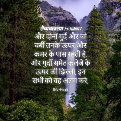 Picture 04 - लैव्यव्यवस्था 7:4 HINIRV - और दोनों गुर्दे और - Bible Verse Picture