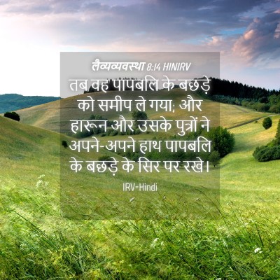 Picture 04 - लैव्यव्यवस्था 8:14 HINIRV - तब वह पापबलि के - Bible Verse Picture