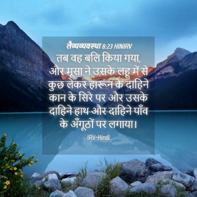 Picture 04 - लैव्यव्यवस्था 8:23 HINIRV - तब वह बलि किया गया, - Bible Verse Picture