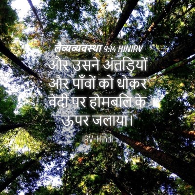 Picture 04 - लैव्यव्यवस्था 9:14 HINIRV - और उसने अंतड़ियों - Bible Verse Picture