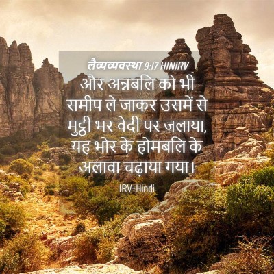 Picture 04 - लैव्यव्यवस्था 9:17 HINIRV - और अन्नबलि को भी - Bible Verse Picture