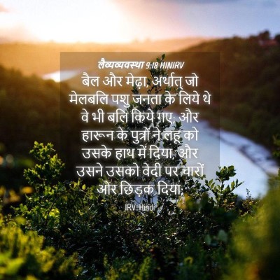 Picture 04 - लैव्यव्यवस्था 9:18 HINIRV - बैल और मेढ़ा, - Bible Verse Picture