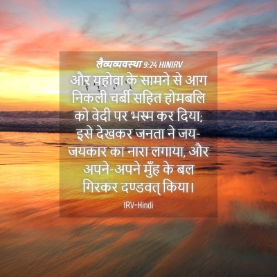 Picture 04 - लैव्यव्यवस्था 9:24 HINIRV - और यहोवा के सामने - Bible Verse Picture