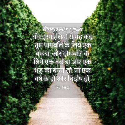 Picture 04 - लैव्यव्यवस्था 9:3 HINIRV - और इस्राएलियों से - Bible Verse Picture