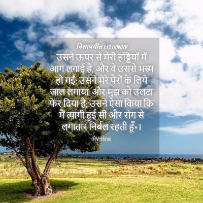 Picture 04 - विलापगीत 1:13 HINIRV - उसने ऊपर से मेरी - Bible Verse Picture