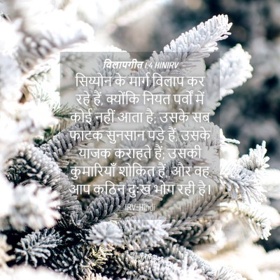 Picture 04 - विलापगीत 1:4 HINIRV - सिय्योन के मार्ग - Bible Verse Picture