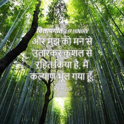 Picture 04 - विलापगीत 3:17 HINIRV - और मुझ को मन से - Bible Verse Picture