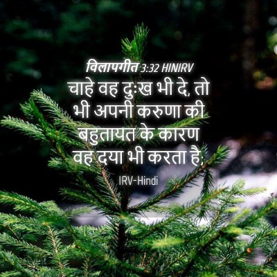 Picture 04 - विलापगीत 3:32 HINIRV - चाहे वह दुःख भी दे, - Bible Verse Picture