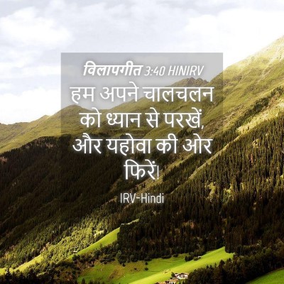 Picture 04 - विलापगीत 3:40 HINIRV - हम अपने चालचलन को - Bible Verse Picture