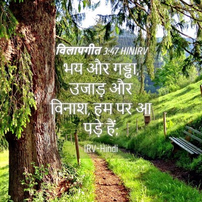 Picture 04 - विलापगीत 3:47 HINIRV - भय और गड्ढा, उजाड़ - Bible Verse Picture