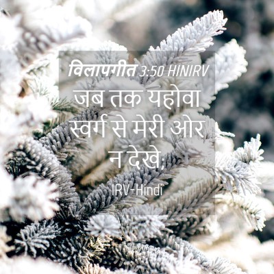 Picture 04 - विलापगीत 3:50 HINIRV - जब तक यहोवा स्वर्ग - Bible Verse Picture