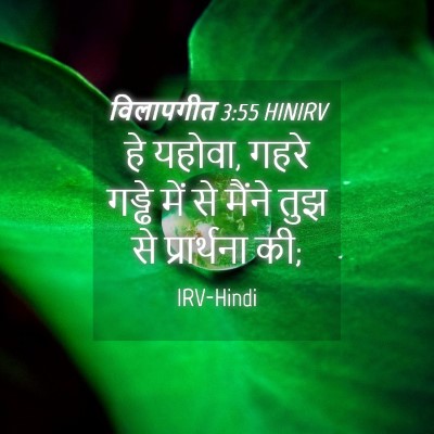 Picture 04 - विलापगीत 3:55 HINIRV - हे यहोवा, गहरे - Bible Verse Picture