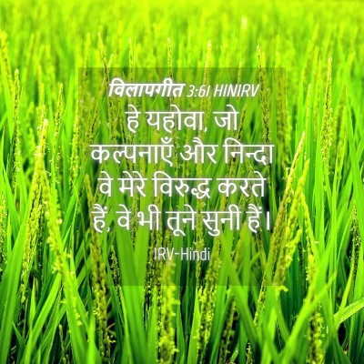 Picture 04 - विलापगीत 3:61 HINIRV - हे यहोवा, जो - Bible Verse Picture