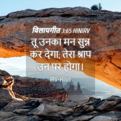 Picture 04 - विलापगीत 3:65 HINIRV - तू उनका मन सुन्न कर - Bible Verse Picture