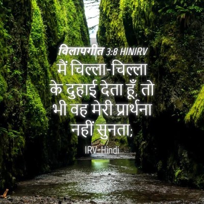 Picture 04 - विलापगीत 3:8 HINIRV - मैं चिल्ला-चिल्ला - Bible Verse Picture