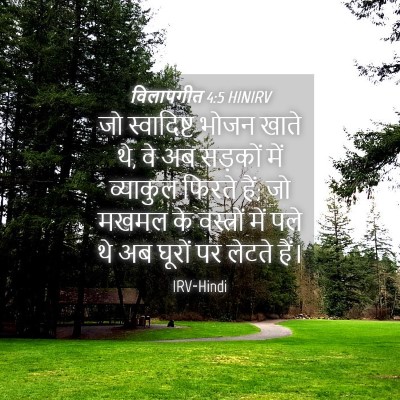 Picture 04 - विलापगीत 4:5 HINIRV - जो स्वादिष्ट भोजन - Bible Verse Picture