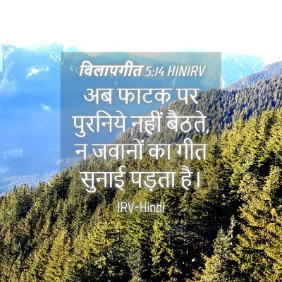 Picture 04 - विलापगीत 5:14 HINIRV - अब फाटक पर पुरनिये - Bible Verse Picture