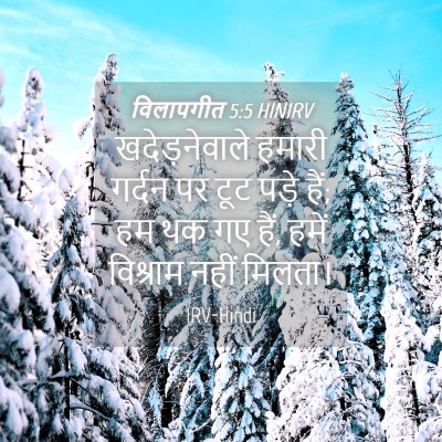 Picture 04 - विलापगीत 5:5 HINIRV - खदेड़नेवाले हमारी - Bible Verse Picture