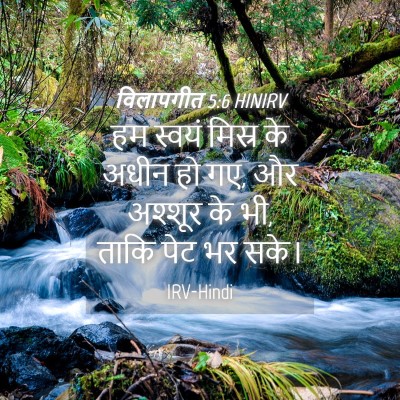 Picture 04 - विलापगीत 5:6 HINIRV - हम स्वयं मिस्र के - Bible Verse Picture