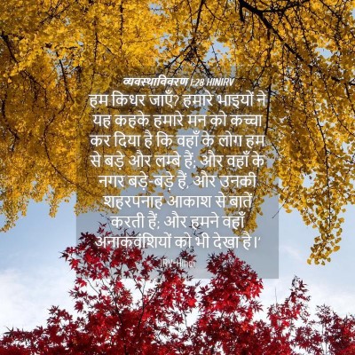 Picture 04 - व्यवस्थाविवरण 1:28 HINIRV - हम किधर जाएँ? हमारे - Bible Verse Picture